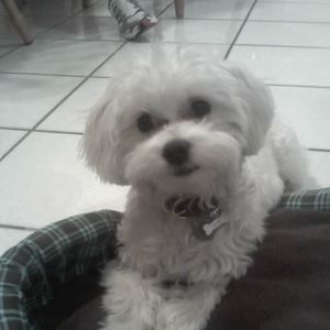 Meet your Posher, Judith